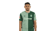 Oh No Werder Sticker by Bundesliga