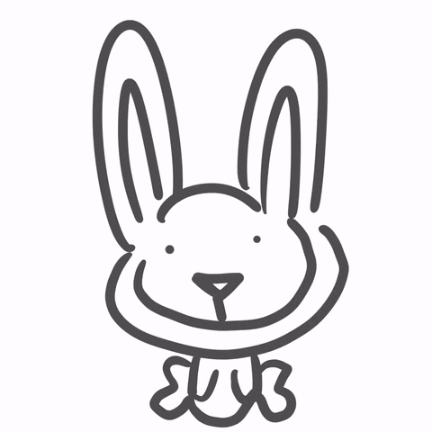 mingsyuanlu animal rabbit theabsurdzoo GIF