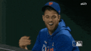 Happy Ny Mets GIF by New York Mets