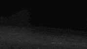 scifri sneezing GIF by Science Friday