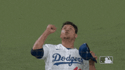 Excited Major League Baseball GIF by MLB