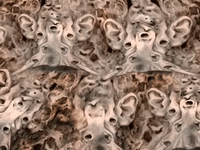 alex boya animation studio GIF by Alex Boya