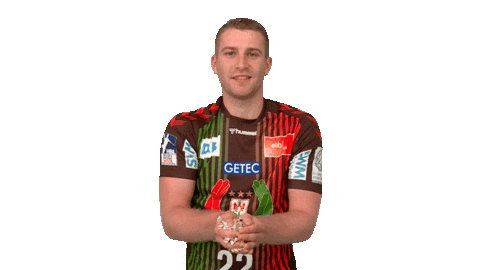 Handball-Bundesliga Fun Sticker by LIQUI MOLY HBL