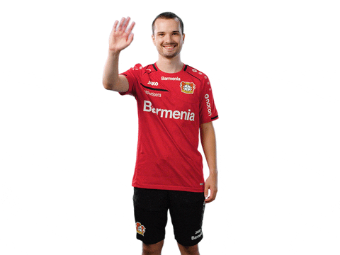 Bayer 04 Esports GIF by Bayer 04 Leverkusen