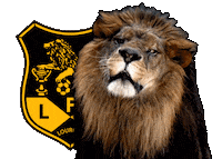 Soccer Win Sticker by Lusitânia de Lourosa FC