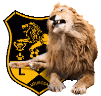 Wild Cat Soccer Sticker by Lusitânia de Lourosa FC