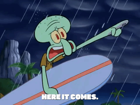 season 6 GIF by SpongeBob SquarePants