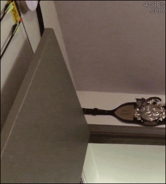 dark souls GIF