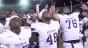 GIF by CAA Football