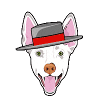 Dog Podenco Sticker by Patitas Barcelona