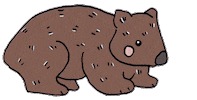 australia Sticker by Megan McKean