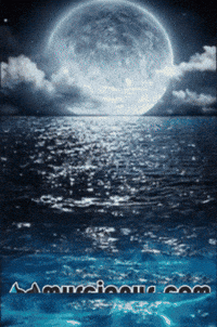 Sol Mar GIF by Murcianys LLC