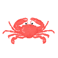 Beach Pinch Me Sticker