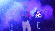 Baseball Hype GIF by NCAA Championships