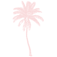 Palm Sticker by TropiCam