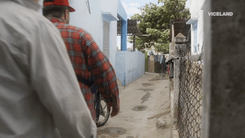 GIF by Dead Set on Life