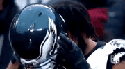 2018 nfl football GIF by NFL