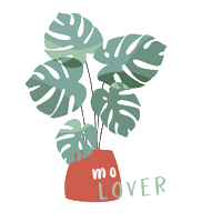 kikacarral branding create monstera behindthelion Sticker