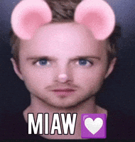 Cat GIF