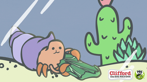 Snacking Hermit Crab GIF by PBS KIDS