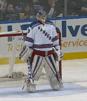 hockey cheer GIF