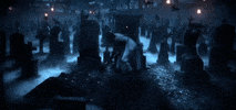 taylor swift GIF