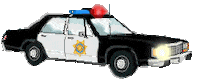 police STICKER