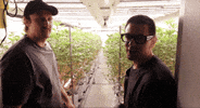 Bloom Andrew GIF by Exclusive Brands