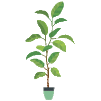Plants Sticker by Architectural Digest Mexico