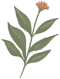 Verde Planta Sticker by Leohestudio