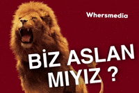 Whersmedia GIF