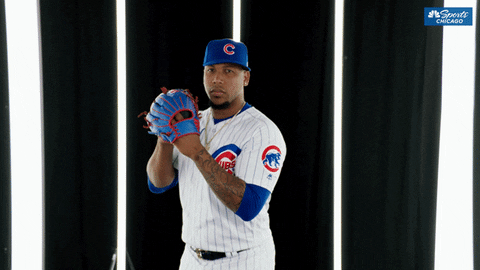 baseball cubs GIF by NBC Sports Chicago