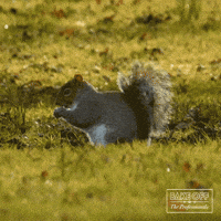 Bake Off Eating GIF by The Great British Bake Off