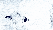 Dance Animation GIF by Anna B Savage