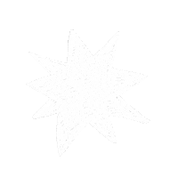 Star Sticker