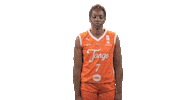Basketball Bow Sticker by Tango Bourges Basket