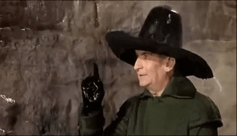 sverineduvic giphygifmaker GIF