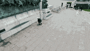 skateboarding we are blood GIF by EchoBoom Sports