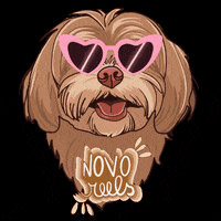 chloeezoey chloez GIF