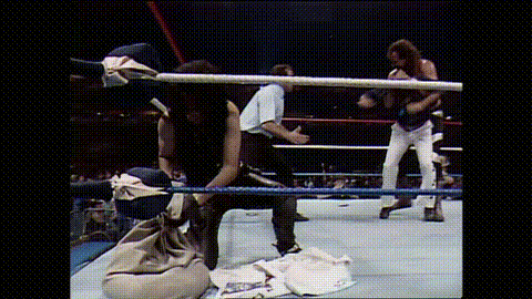 Integralist giphyupload wwf wrestlemania 3 GIF