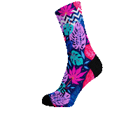 soxfootwear socks sox soxfootwear Sticker