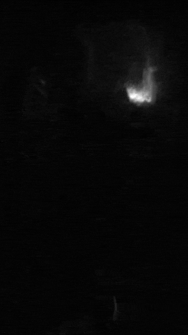 arsmagine giphyupload sun atomic energy fusion reactor GIF