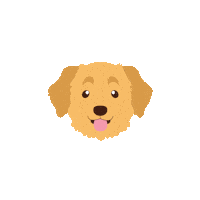 Happy Birthday Animal Nature Sticker by Orange and Peach