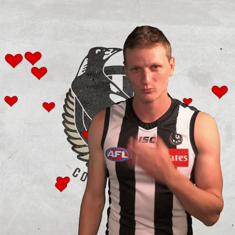 collingwoodfc giphyupload pies collingwood magpies GIF