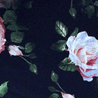 Beauty Makeup GIF by L'Oréal Paris USA