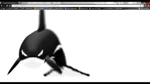 get low whale GIF by namslam