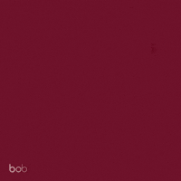 Work Anniversary GIF by HiBob