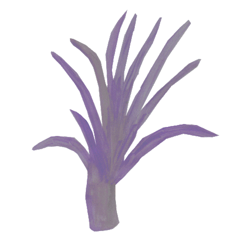 Klyfta purple plant wind leaf Sticker