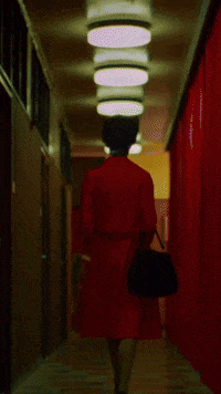 GIF by Filmin