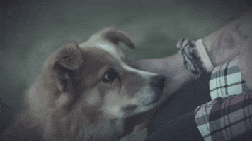 Misfits Salon GIF by BBC Three